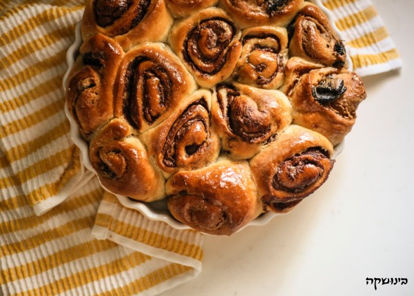 IMG_6960-logo-cropped